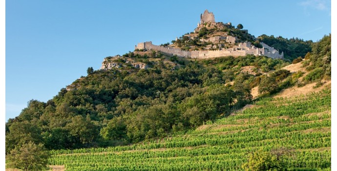 Rhône nord : 3 grands vins blancs à découvrir si vous aimez la Bourgogne